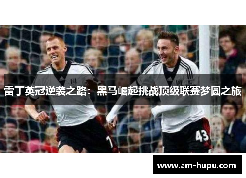 雷丁英冠逆袭之路：黑马崛起挑战顶级联赛梦圆之旅
