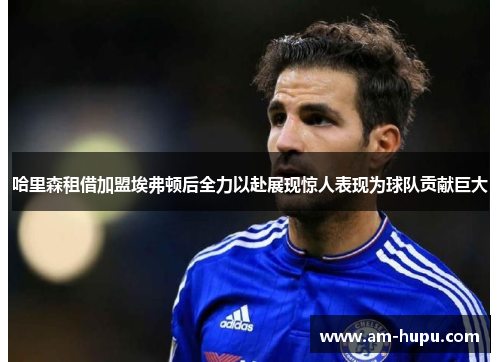 哈里森租借加盟埃弗顿后全力以赴展现惊人表现为球队贡献巨大