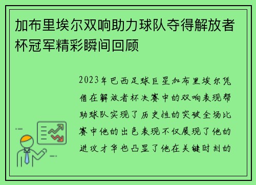 加布里埃尔双响助力球队夺得解放者杯冠军精彩瞬间回顾